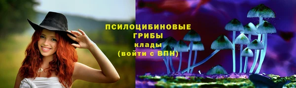 сатива Карталы