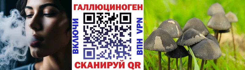 Галлюциногенные грибы мицелий  Купить  Дегтярск 